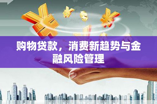 永德购物贷款，消费新趋势与金融风险管理
