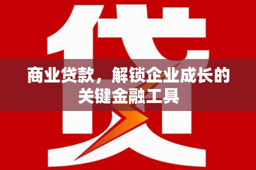 田林商业贷款，解锁企业成长的关键金融工具