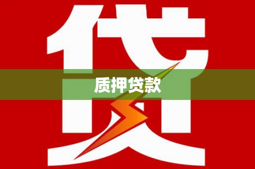 新店质押贷款