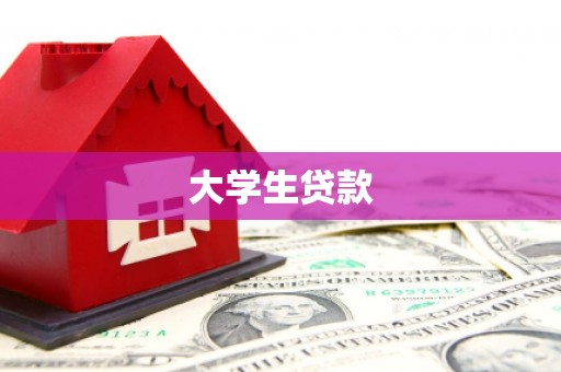 中方大学生贷款