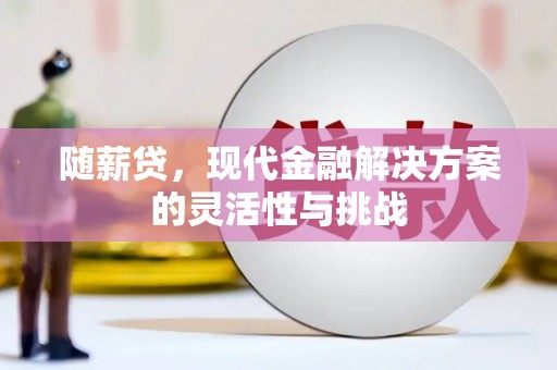 绥阳随薪贷，现代金融解决方案的灵活性与挑战