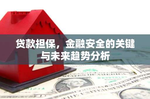 大名贷款担保，金融安全的关键与未来趋势分析