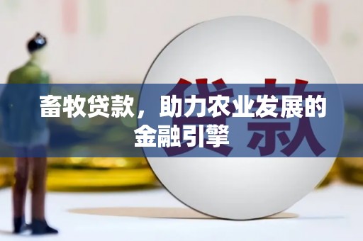 雨山畜牧贷款，助力农业发展的金融引擎
