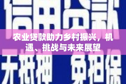 潍城农业贷款助力乡村振兴，机遇、挑战与未来展望
