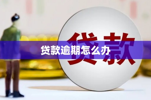 丽水贷款逾期怎么办