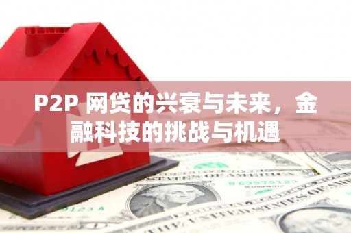 凤台P2P 网贷的兴衰与未来，金融科技的挑战与机遇