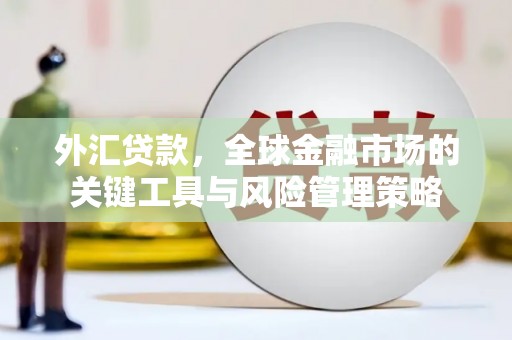 茶陵外汇贷款，全球金融市场的关键工具与风险管理策略