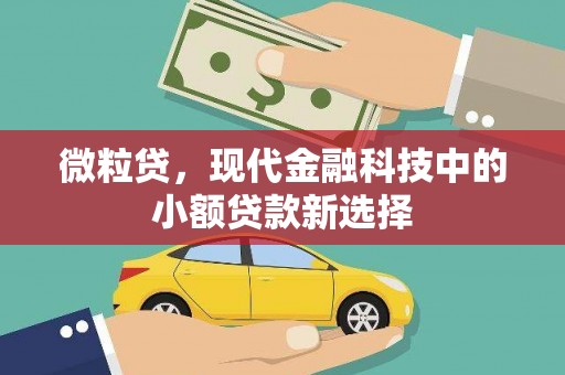 琼中微粒贷，现代金融科技中的小额贷款新选择