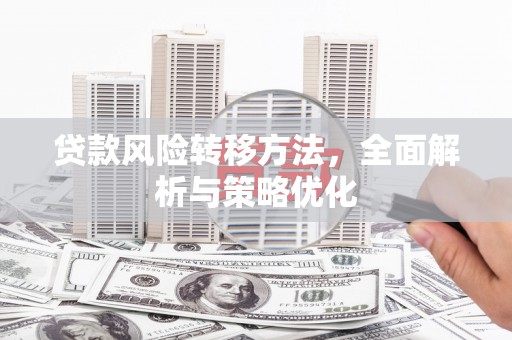 玄武贷款风险转移方法，全面解析与策略优化