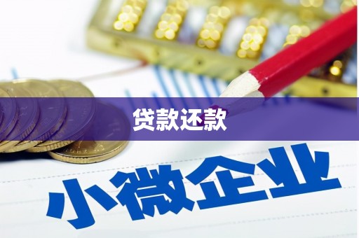 学甲贷款还款
