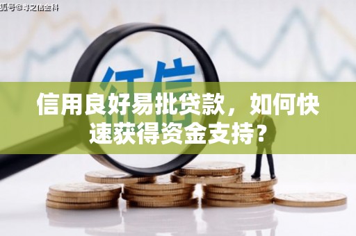 广汉信用良好易批贷款，如何快速获得资金支持？