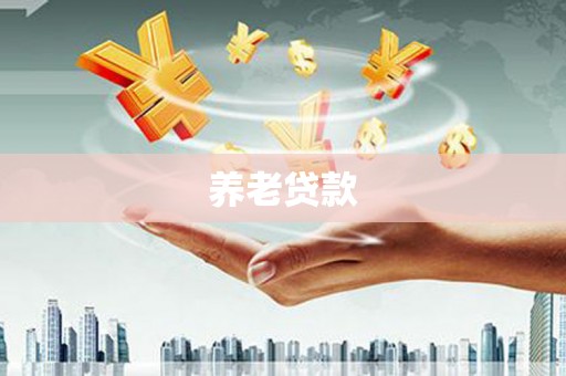 岱岳养老贷款