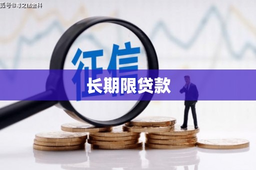 镇原长期限贷款