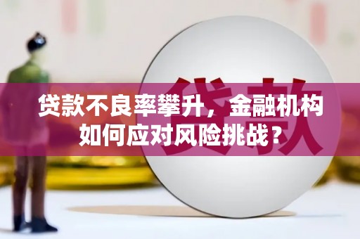 惠安贷款不良率攀升，金融机构如何应对风险挑战？