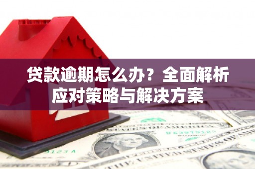 武义贷款逾期怎么办？全面解析应对策略与解决方案