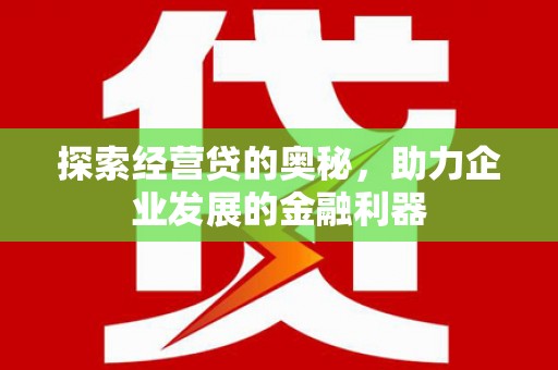 鄱阳探索经营贷的奥秘，助力企业发展的金融利器
