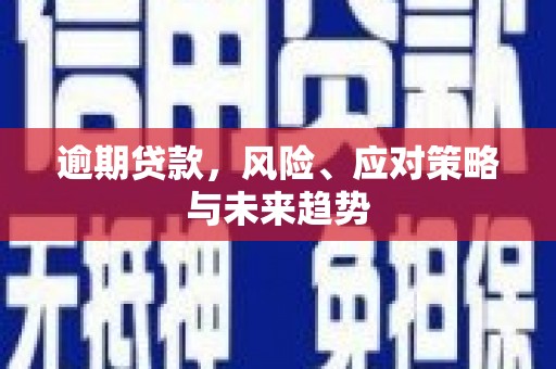 阳泉逾期贷款，风险、应对策略与未来趋势