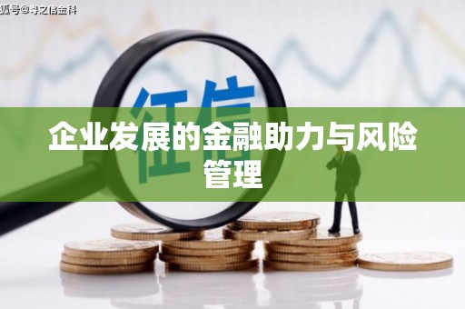 南投企业发展的金融助力与风险管理