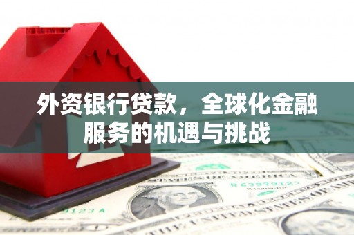 崖州外资银行贷款，全球化金融服务的机遇与挑战