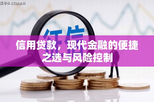 顺庆信用贷款，现代金融的便捷之选与风险控制