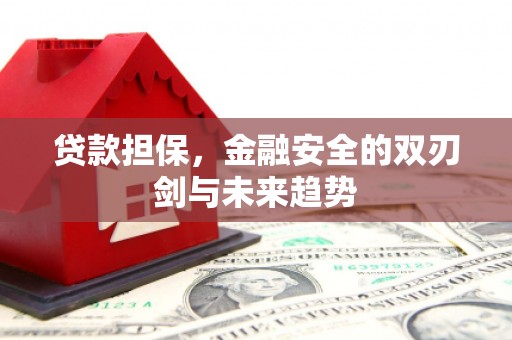 静海贷款担保，金融安全的双刃剑与未来趋势