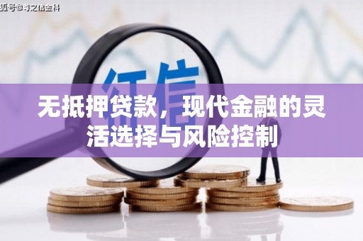 中卫无抵押贷款，现代金融的灵活选择与风险控制