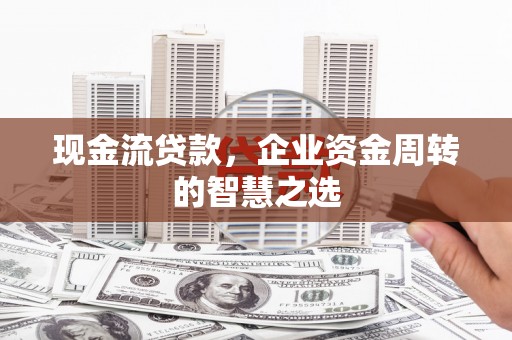 成武现金流贷款，企业资金周转的智慧之选