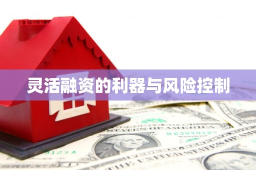 集集灵活融资的利器与风险控制