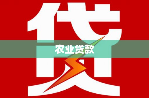 孝感农业贷款