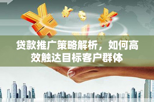 狮潭贷款推广策略解析，如何高效触达目标客户群体