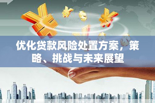 集集优化贷款风险处置方案，策略、挑战与未来展望