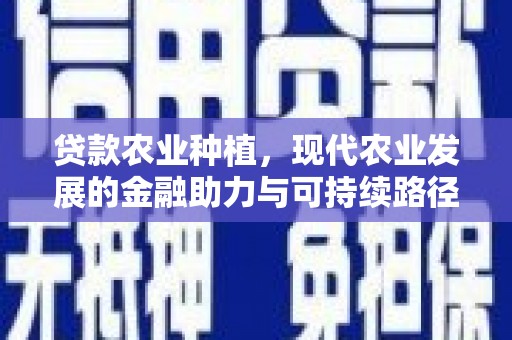 盘龙贷款农业种植，现代农业发展的金融助力与可持续路径