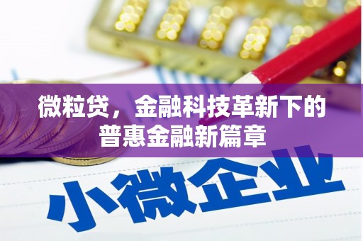 芙蓉微粒贷，金融科技革新下的普惠金融新篇章