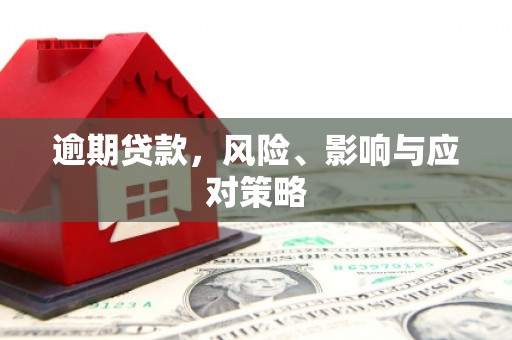 信阳逾期贷款，风险、影响与应对策略