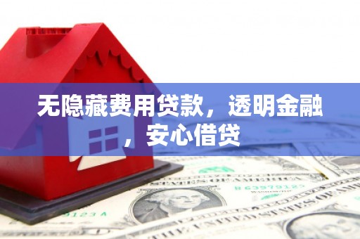 春日无隐藏费用贷款，透明金融，安心借贷