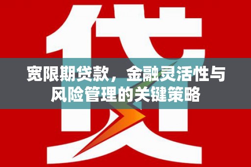 施秉宽限期贷款，金融灵活性与风险管理的关键策略