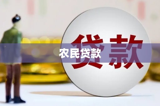 延平农民贷款