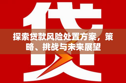 万载探索贷款风险处置方案，策略、挑战与未来展望