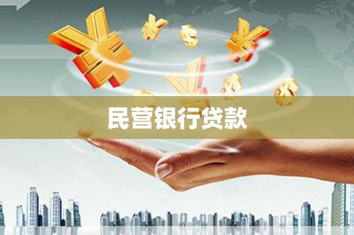永善民营银行贷款