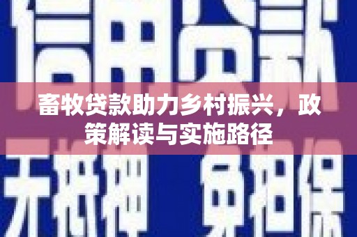 大武畜牧贷款助力乡村振兴，政策解读与实施路径