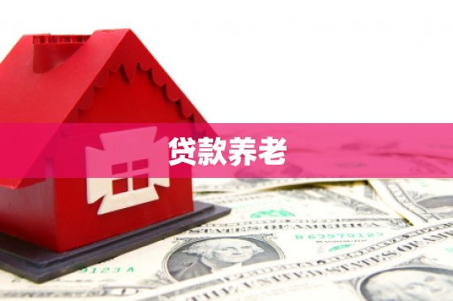 公安贷款养老