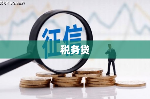 门源税务贷