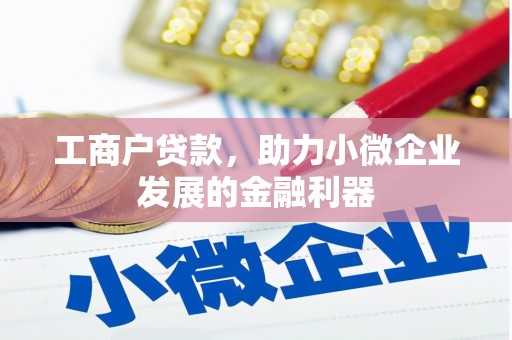 岷县工商户贷款，助力小微企业发展的金融利器