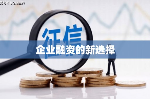 嘉陵企业融资的新选择