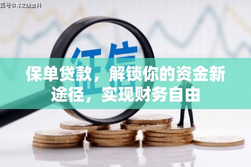 宁县保单贷款，解锁你的资金新途径，实现财务自由