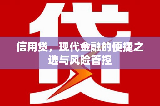 招远信用贷，现代金融的便捷之选与风险管控
