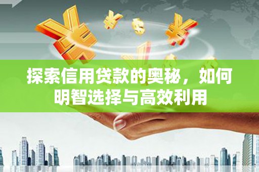 松北探索信用贷款的奥秘，如何明智选择与高效利用