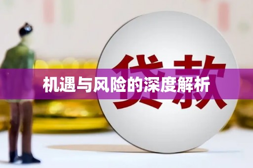 狮潭机遇与风险的深度解析