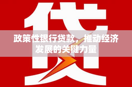 台西政策性银行贷款，推动经济发展的关键力量