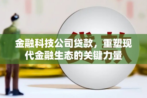 凤山金融科技公司贷款，重塑现代金融生态的关键力量